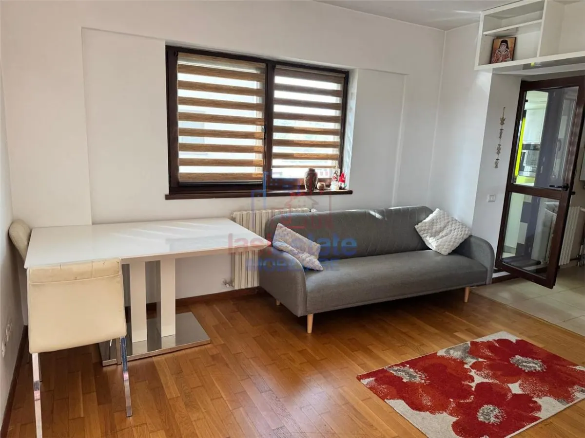 Apartament 1 Camera Podul de Fier - IasiCon - foto 5