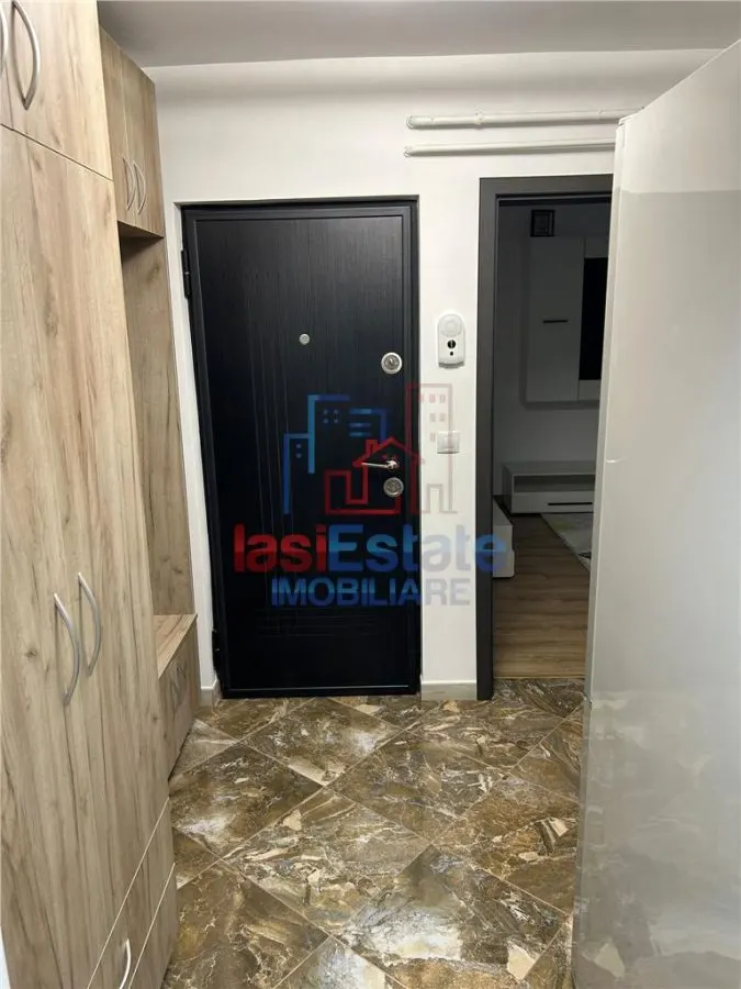Apartament 2 camere Pacurari - Moara de Foc - foto 12