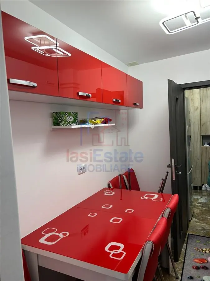 Apartament 2 camere Pacurari - Moara de Foc - foto 6
