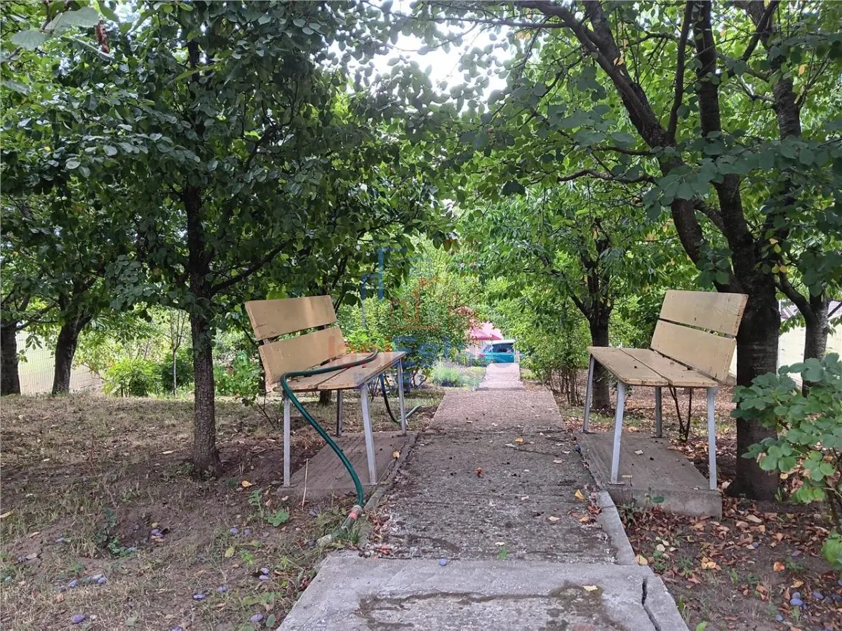 Rediu langa gradinita KiKi TEREN 500mp intravilan cu toate utilitatile - foto 1
