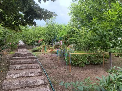 Rediu langa gradinita KiKi TEREN 500mp intravilan cu toate utilitatile - foto 2