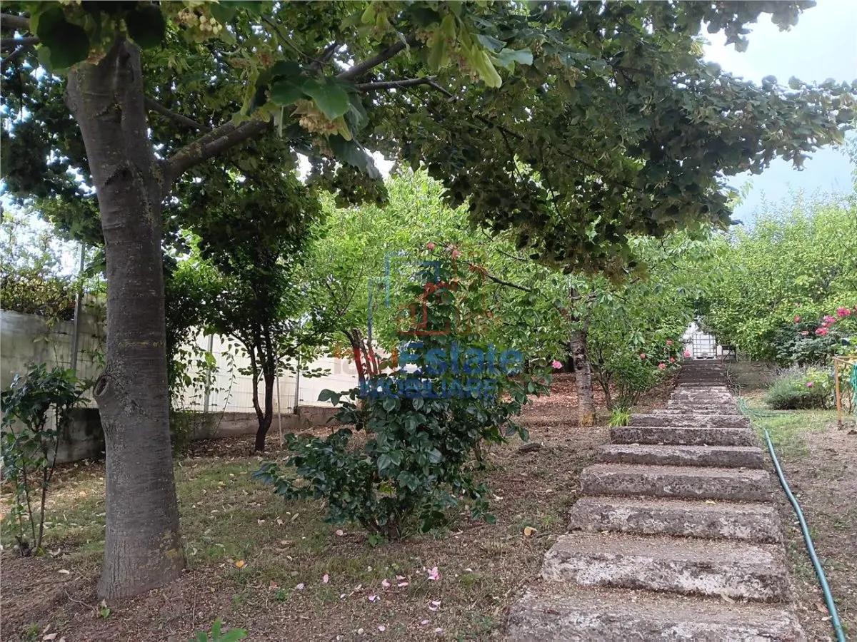 Rediu langa gradinita KiKi TEREN 500mp intravilan cu toate utilitatile - foto 4