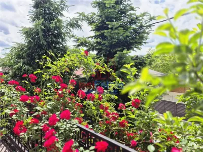 Casa de vanzare in Tatarasi - foto 2