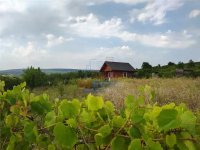 Intravilan - Tomesti - Teren si Cabana din Lemn - Tomesti
