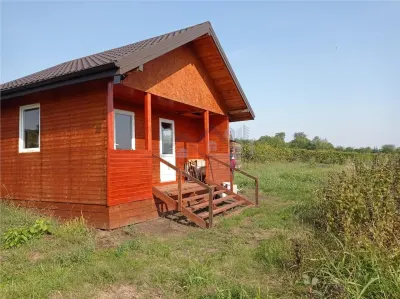 Intravilan - Tomesti - Teren si Cabana din Lemn - foto 3