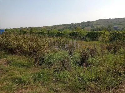 Intravilan - Tomesti - Teren si Cabana din Lemn - foto 7