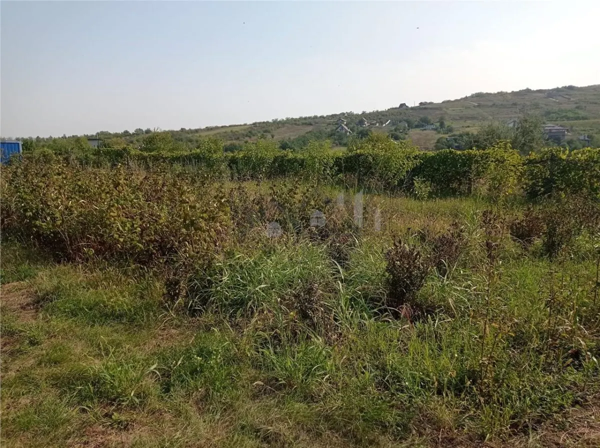 Intravilan - Tomesti - Teren si Cabana din Lemn - foto 7