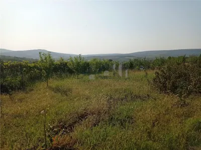 Intravilan - Tomesti - Teren si Cabana din Lemn - foto 8