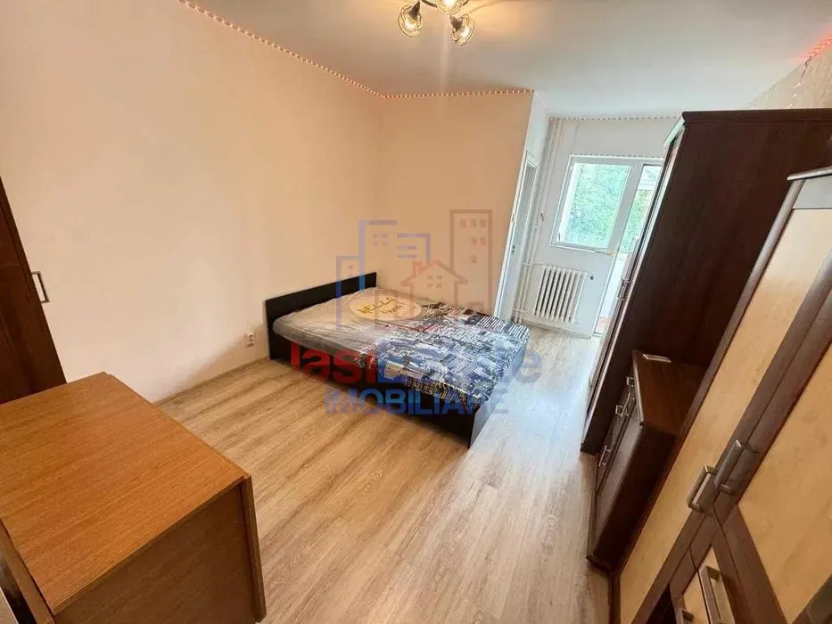 Garsonieră 24 mp, etaj 2, ideală pentru locuit sau închiriere in zona Nicolina - foto 1