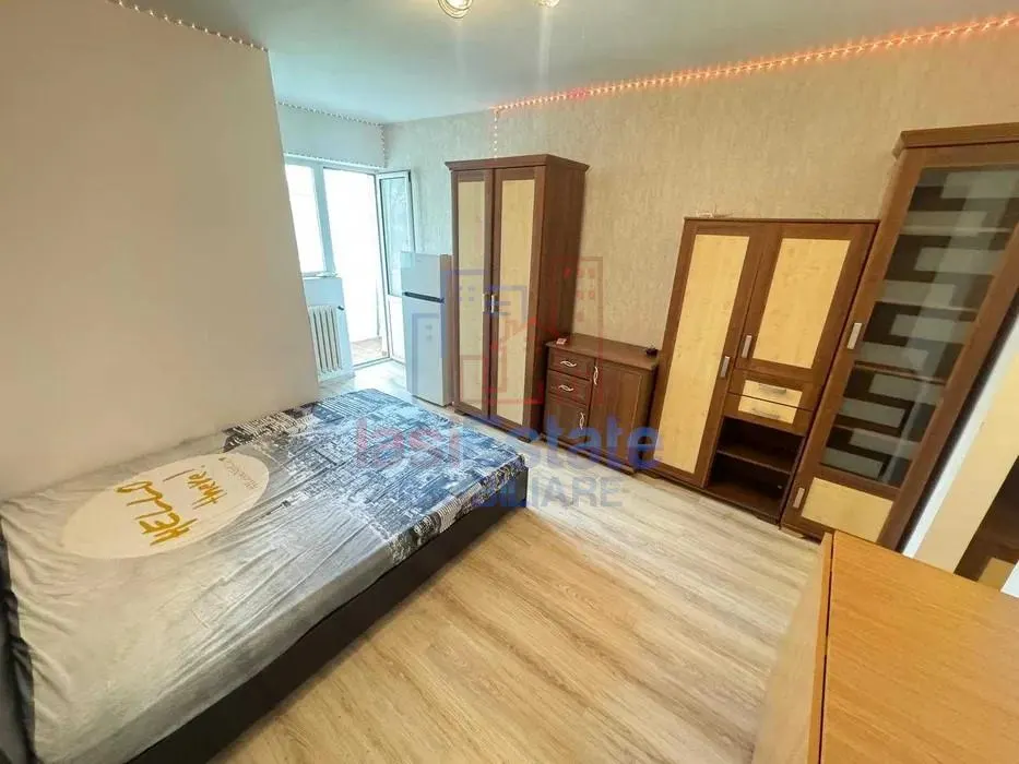 Garsonieră 24 mp, etaj 2, ideală pentru locuit sau închiriere in zona Nicolina - foto 2