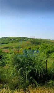 Teren intravilan de vanzare in Bucium - Strada Fermei - Iasi