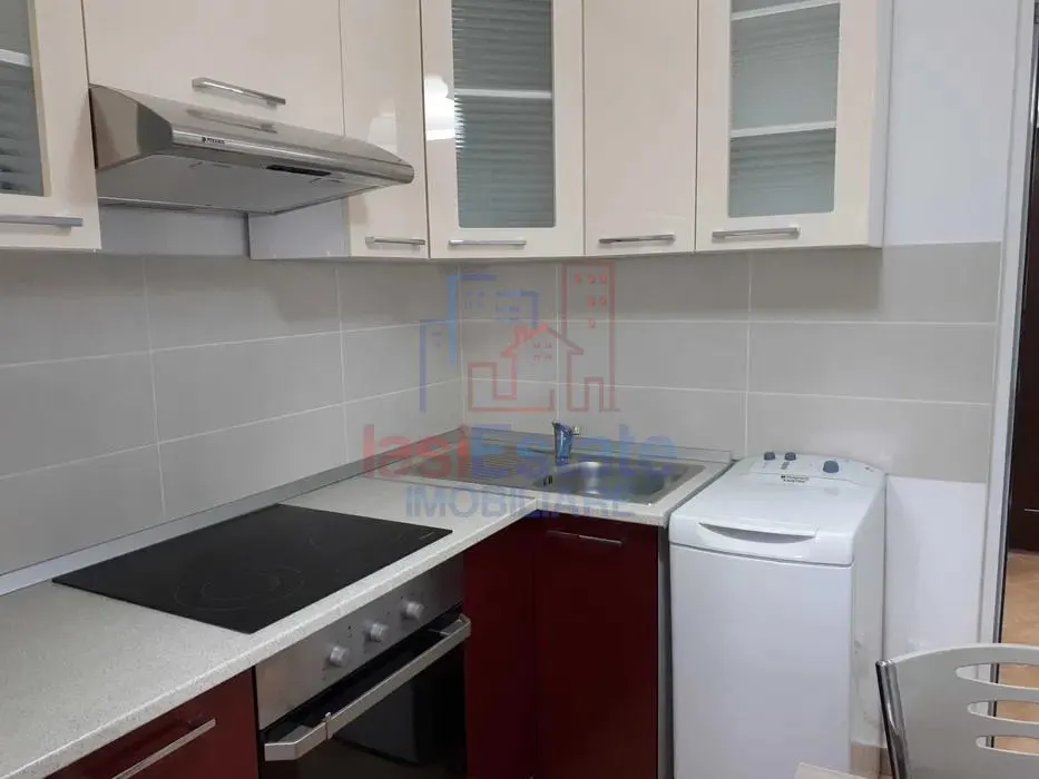 Tatarasi - Ciurchi Apartament 1 camera - foto 5