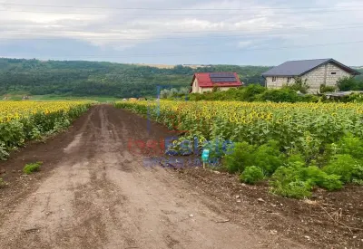 Tere intravilan - Valea Lupului - Valea Lupului