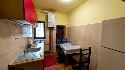 Centru - zona Rapa Galbena 3 camere cu gradina - foto 4