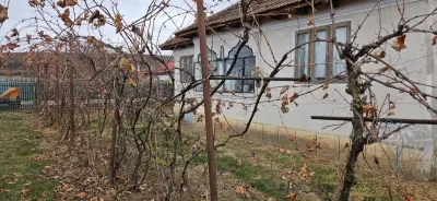 TEREN MEHEDINTA PRAHOVA - foto 4