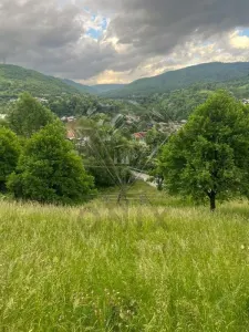 TEREN DE VANZARE VALEA DOFTANEI - Valea Doftanei