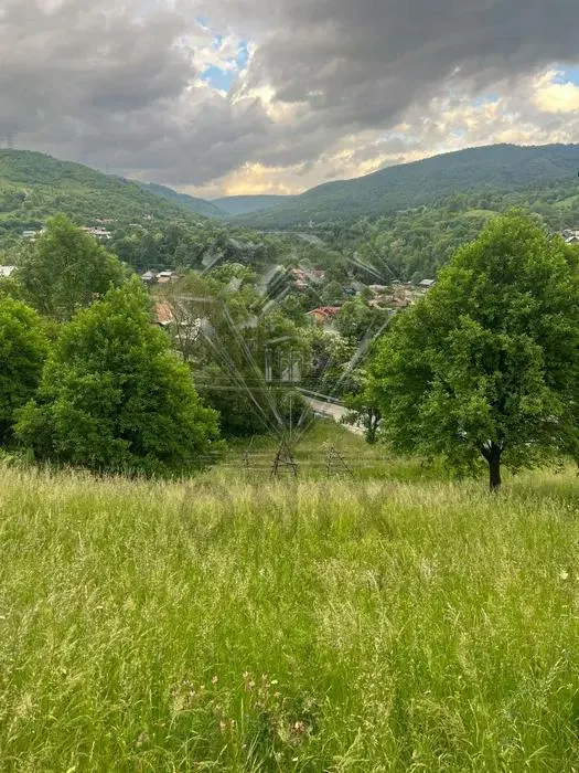 TEREN DE VANZARE VALEA DOFTANEI - foto 1
