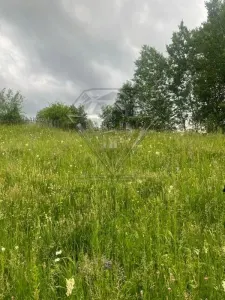 TEREN DE VANZARE VALEA DOFTANEI - foto 2