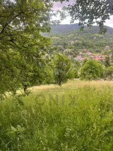 TEREN DE VANZARE VALEA DOFTANEI - foto 3