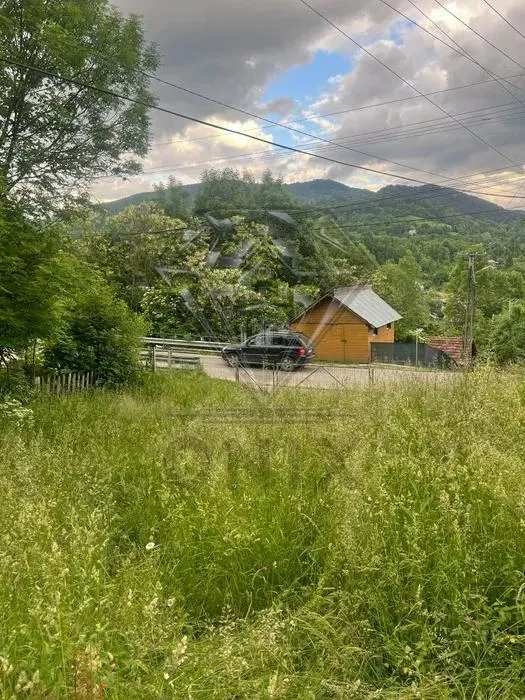 TEREN DE VANZARE VALEA DOFTANEI - foto 5