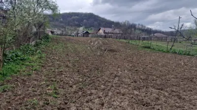 Building Land, Gura Vitioarei, Prahova County - foto 7