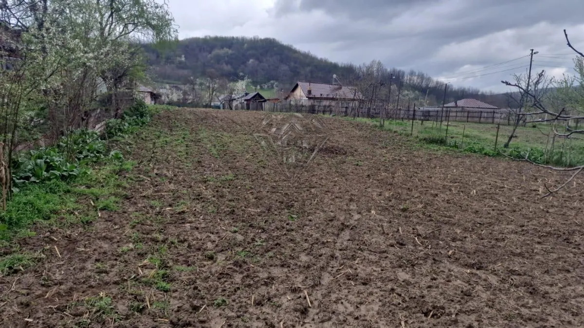Building Land, Gura Vitioarei, Prahova County - foto 7
