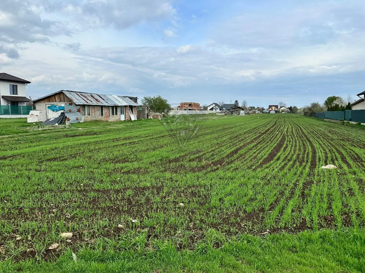 TEREN INTRAVILAN STREJNICU - foto 3