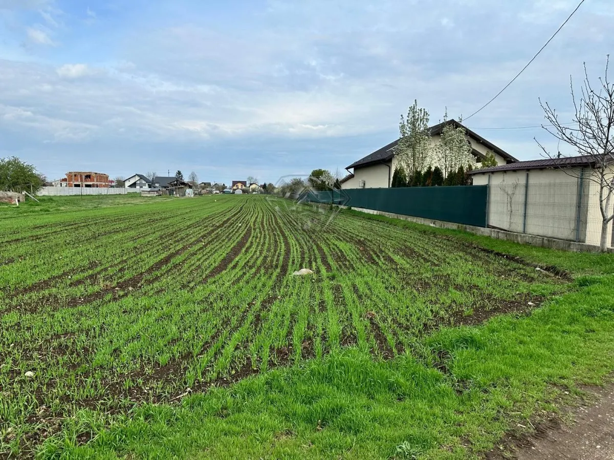 TEREN INTRAVILAN STREJNICU - foto 4