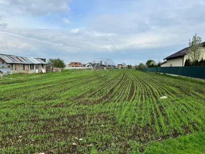TEREN INTRAVILAN STREJNICU - foto 5