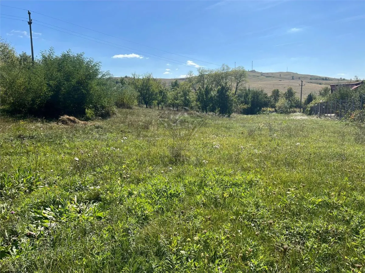 Buildable Land 2,075 sqm, Drajna commune, Prahova - foto 1