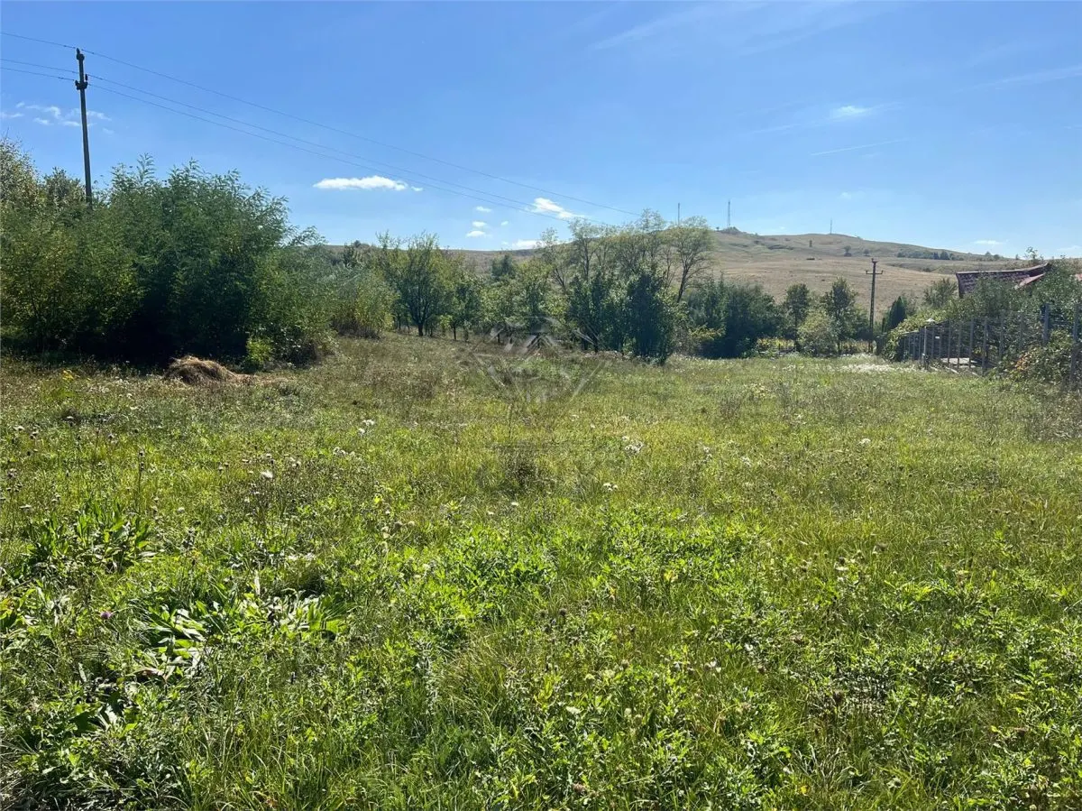 Buildable Land 2,075 sqm, Drajna commune, Prahova - foto 2