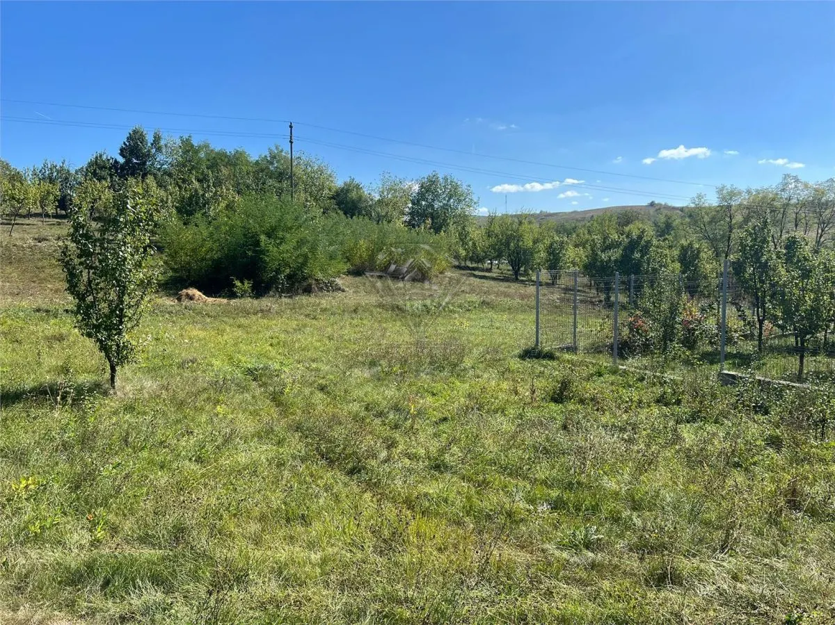 Buildable Land 2,075 sqm, Drajna commune, Prahova - foto 3