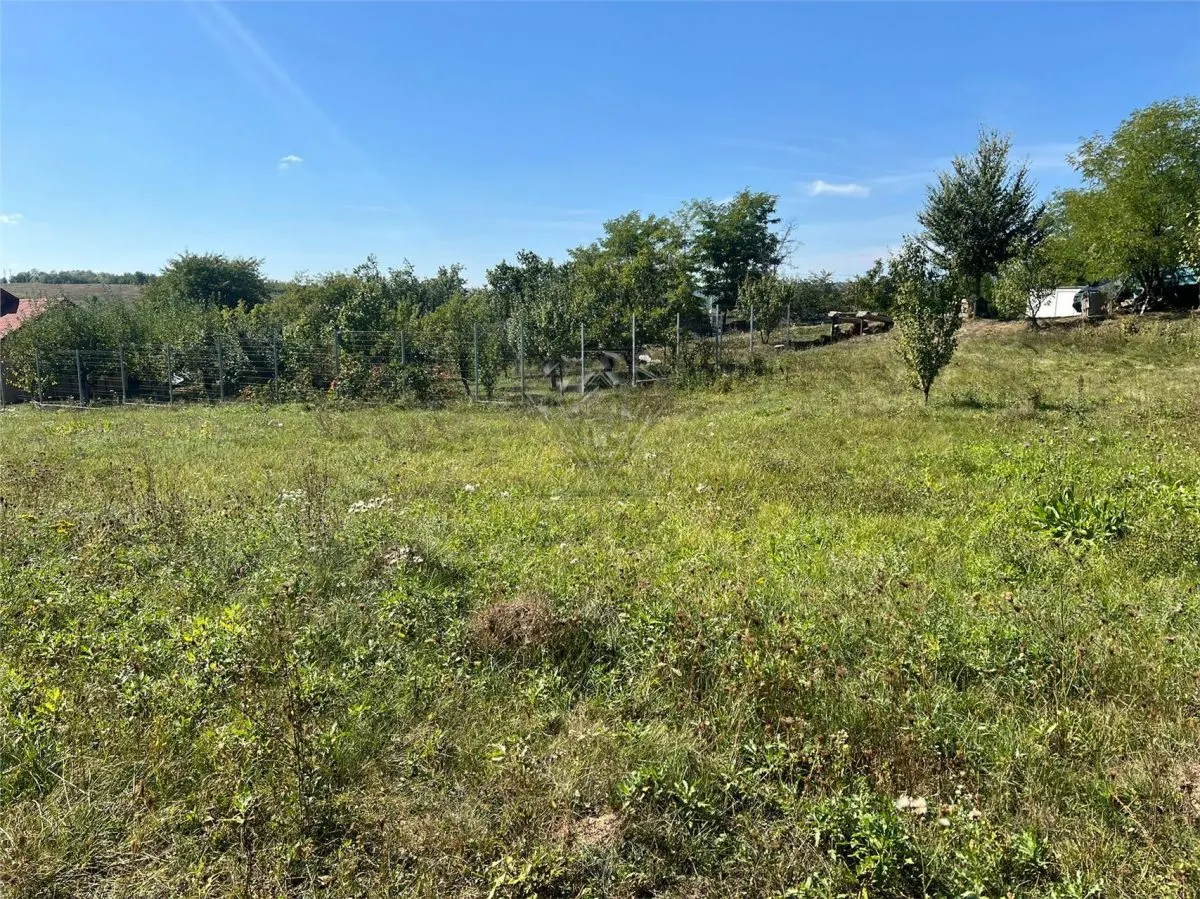 Buildable Land 2,075 sqm, Drajna commune, Prahova - foto 4