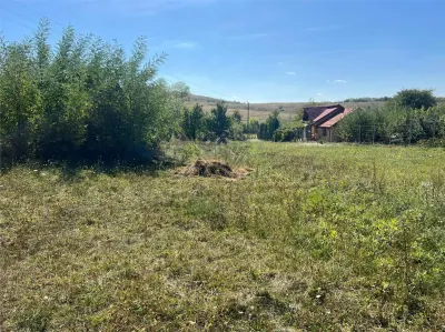 Buildable Land 2,075 sqm, Drajna commune, Prahova - foto 5