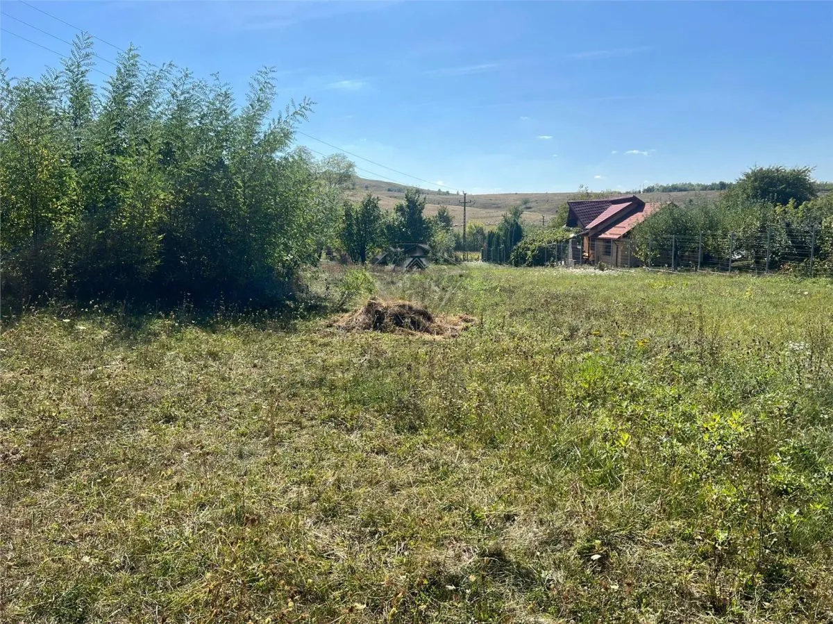 Buildable Land 2,075 sqm, Drajna commune, Prahova - foto 5