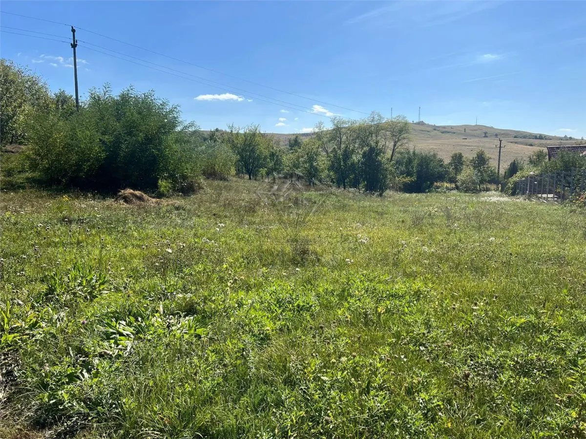 Buildable Land 2,075 sqm, Drajna commune, Prahova - foto 6