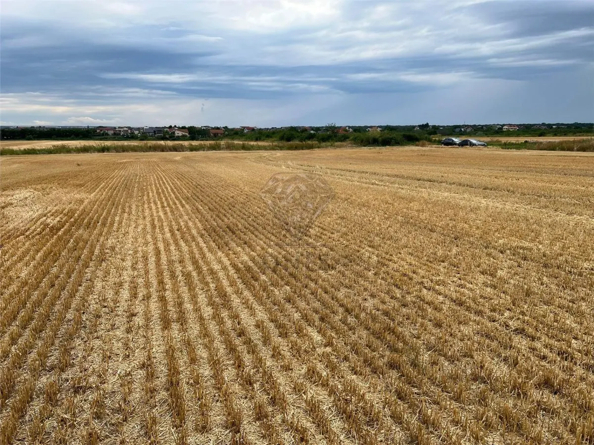 Terrain Résidentiel 7,100 m² à Vendre à Paulesti, Cocosesti – P+2E - foto 5