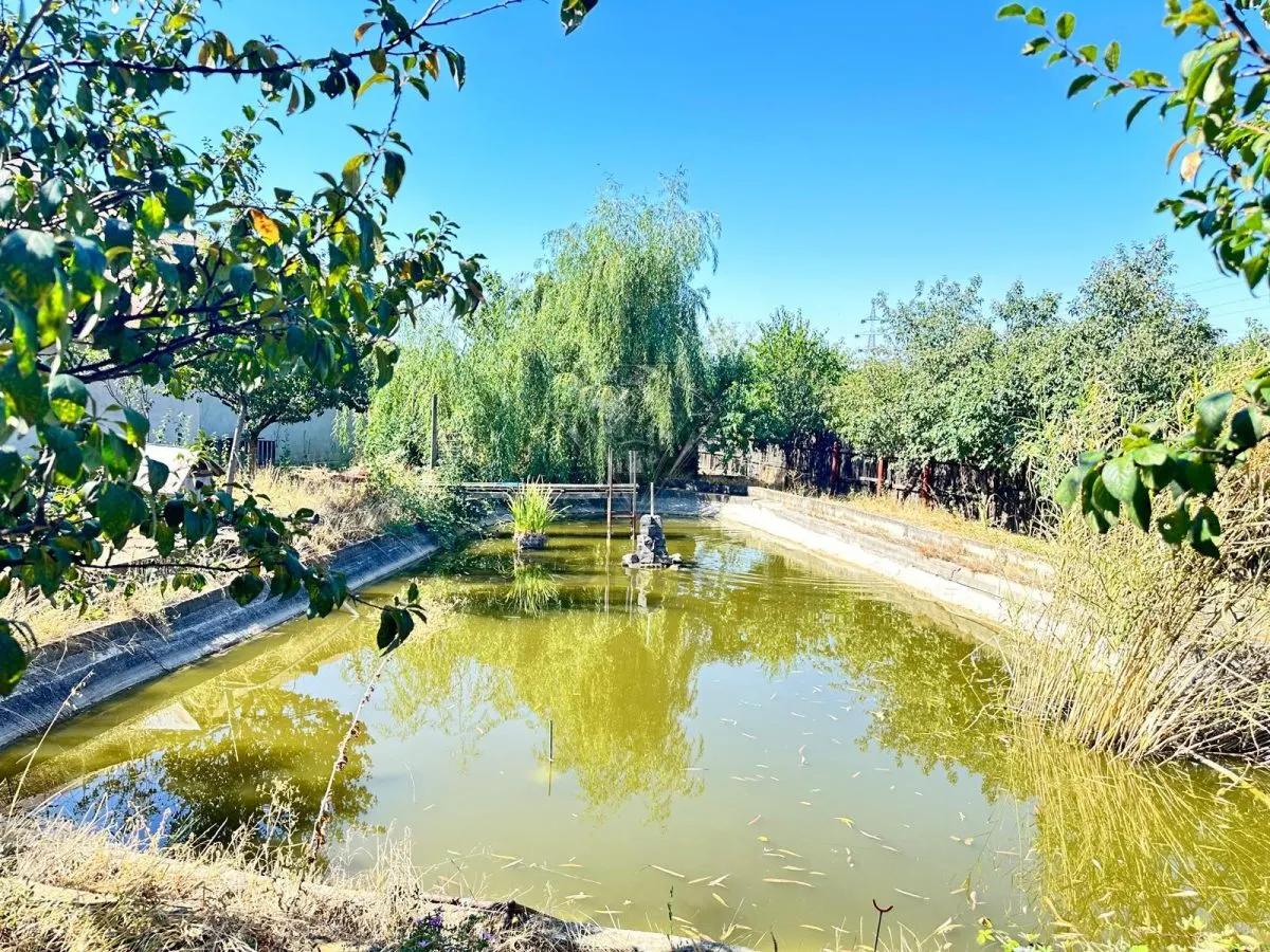 Casa si teren 3567 mp cu piscina, livada si helesteu – Corlatesti - foto 2