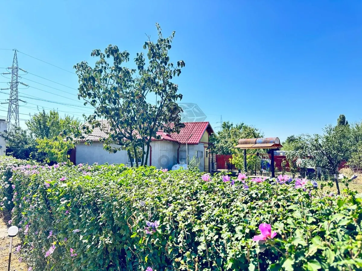 Casa si teren 3567 mp cu piscina, livada si helesteu – Corlatesti - foto 16