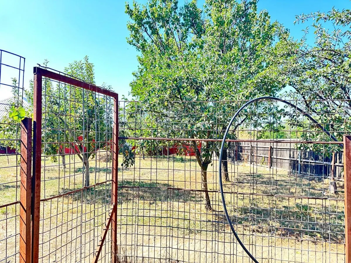 Casa si teren 3567 mp cu piscina, livada si helesteu – Corlatesti - foto 17
