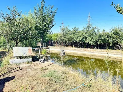 Casa si teren 3567 mp cu piscina, livada si helesteu – Corlatesti - foto 3