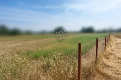 Teren intravilan de vanzare Lipanesti, parcelabil in loturi de 1000 mp - Lipanesti