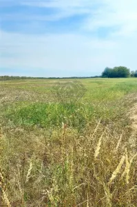 Teren intravilan de vanzare Lipanesti, parcelabil in loturi de 1000 mp - foto 2
