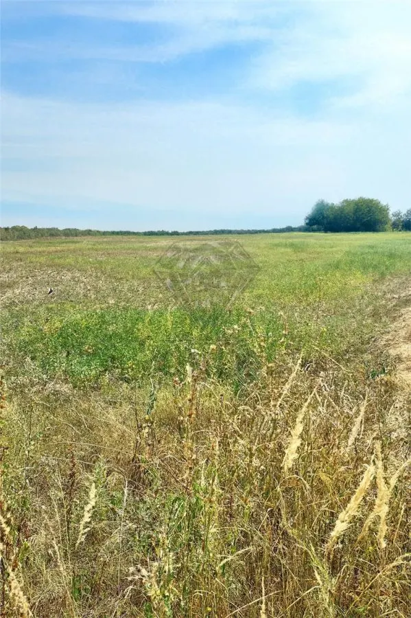 Teren intravilan de vanzare Lipanesti, parcelabil in loturi de 1000 mp - foto 4