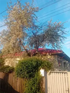Casa noua parter | 3 camere | Vadu Sapat Prahova - Vadu Sapat