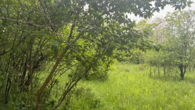 Teren Intravilan de Vânzare Cornu, Prahova | 50 €/mp - foto 2