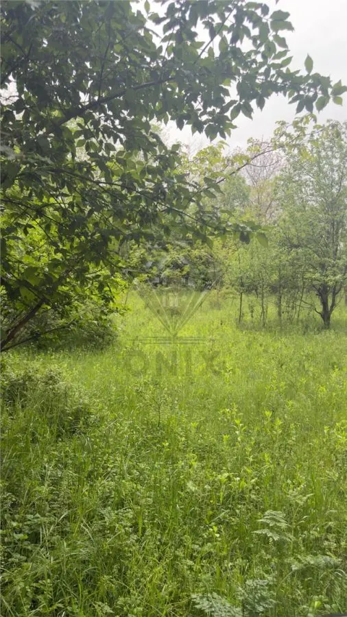 Teren Intravilan de Vânzare Cornu, Prahova | 50 €/mp - foto 6