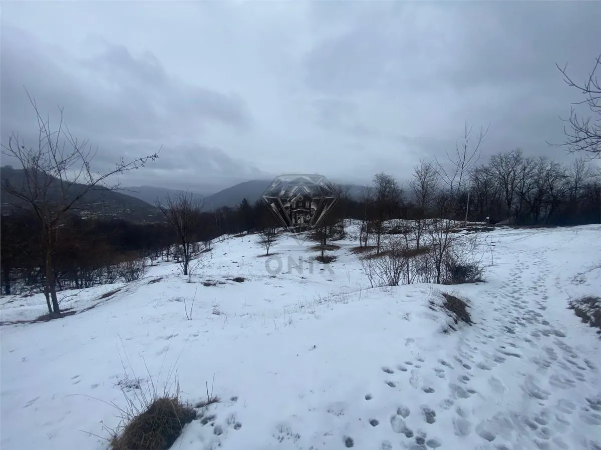 TEREN VALEA DOFTANEI - foto 1