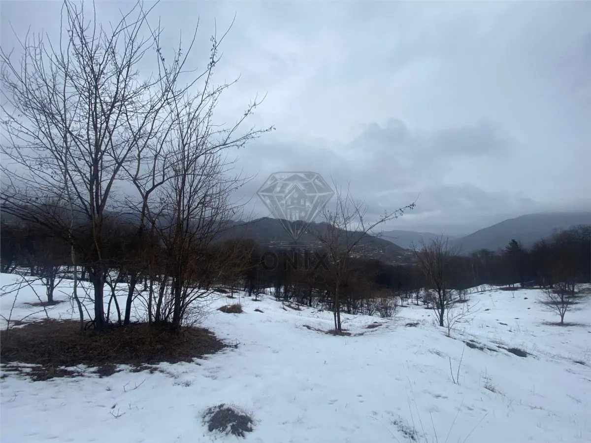 TEREN VALEA DOFTANEI - foto 2