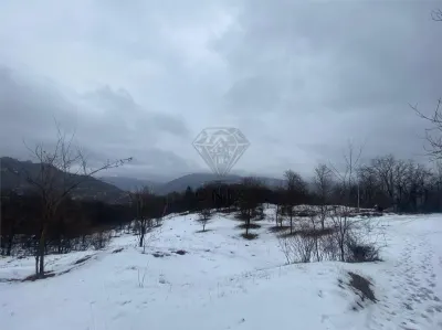 TEREN VALEA DOFTANEI - foto 3